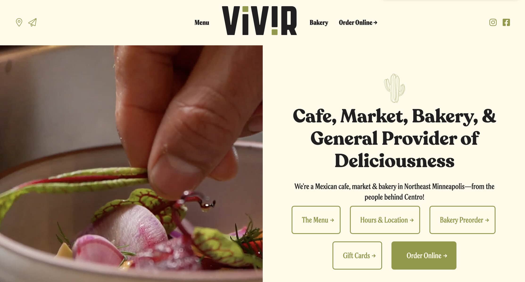 Screenshot of Viv!r Website